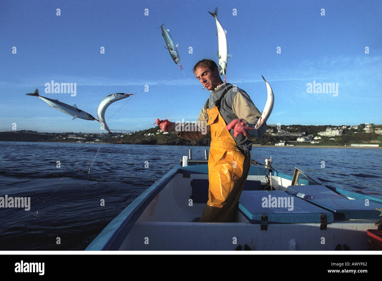 Memancing di Era Digital: Ketika Hobi Bertemu Teknologi dan Keberlanjutan
